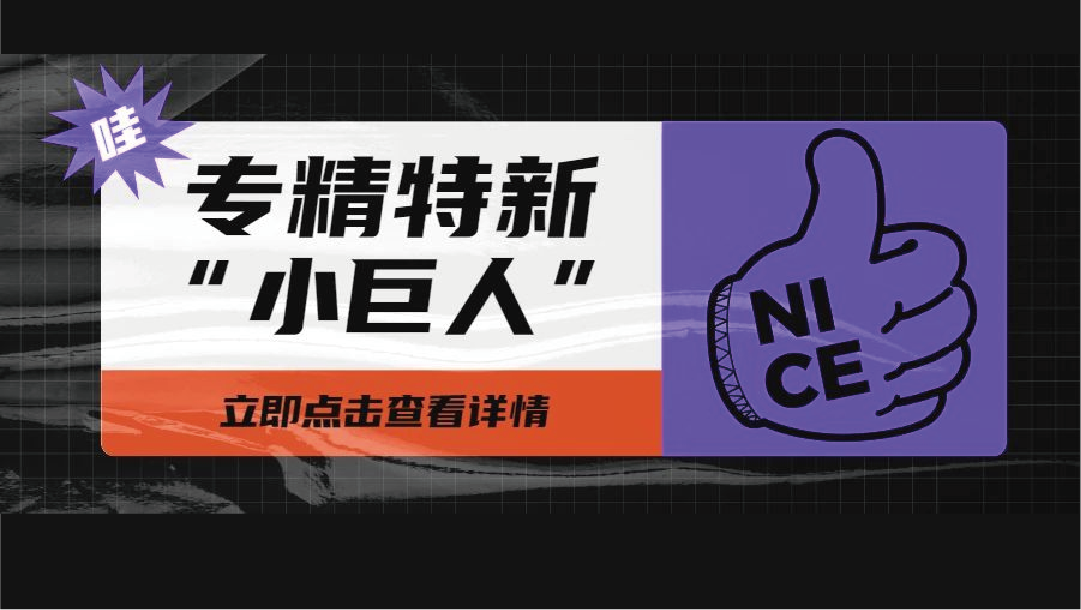 上訊信息入選國家級(jí)專精特新&ldquo;小巨人&rdquo;企業(yè)